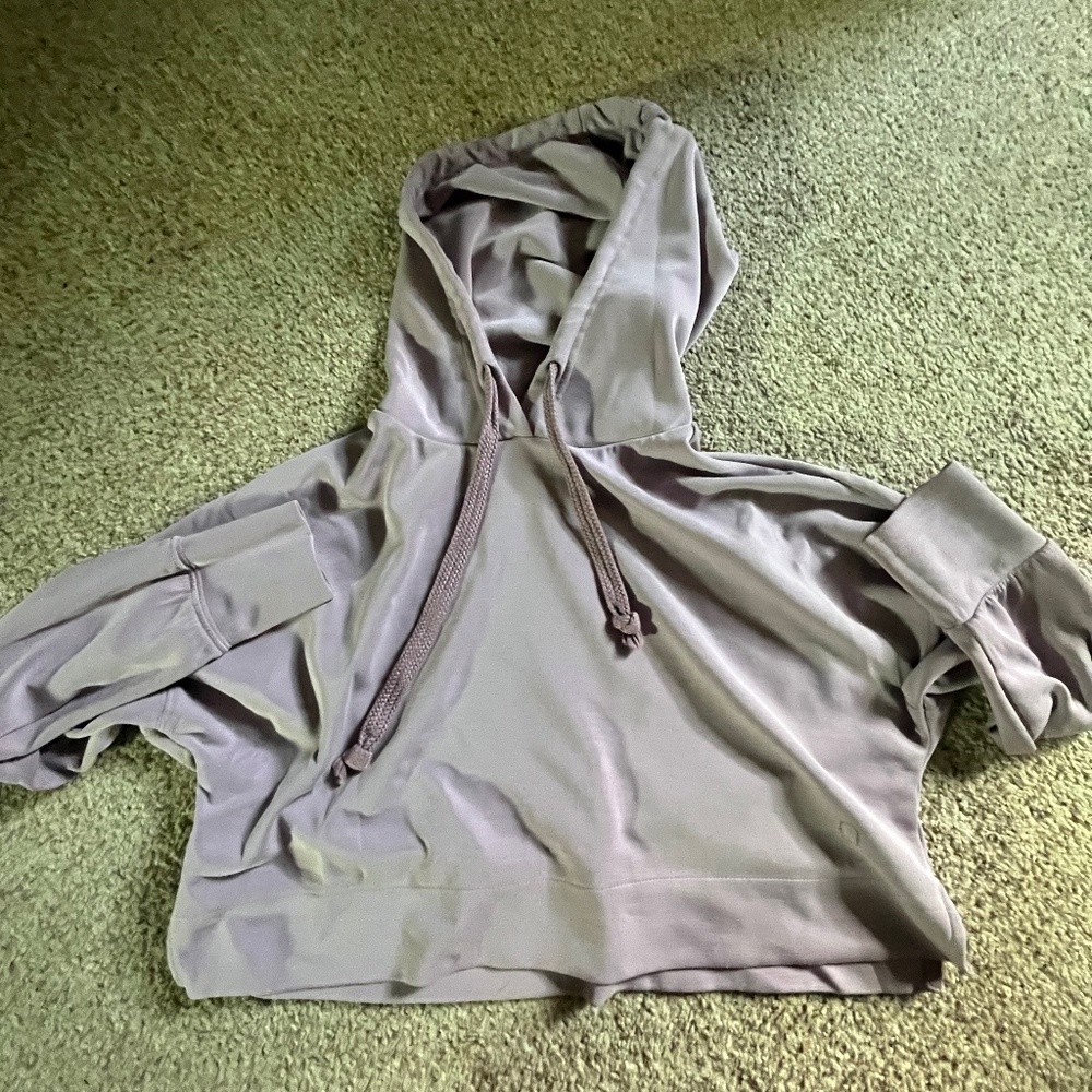 Altrd state revival cropped hoodie
